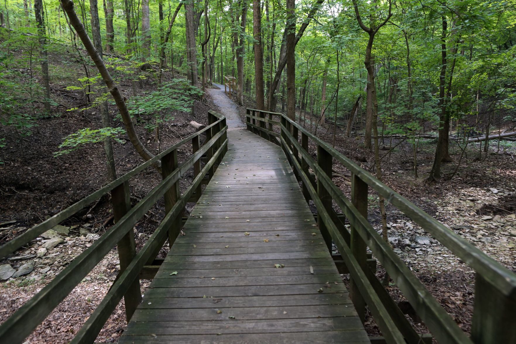 Hiking in the St. Louis region